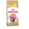 4kg Kitten Persian Royal Canin Croquettes pour chaton