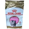 Royal Canin Persan Kitten pour chaton - 10 kg