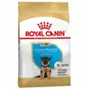 Royal Canin - Pastor Allemand Junior Je Pense pour Jeune Berger Allemand
