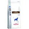 Royal Canin Veterinary Gastrointestinal pour chien - 2 kg
