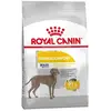 Maxi Dermaconfort - Croquettes chien Royal Canin