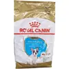 10kg Bouledogue Français Puppy/Chiot Royal Canin - Croquettes pour chiot
