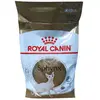 Croquettes - Royal Canin - Sphynx 33 - 10 kg - Énergie élevée - Soutien cardiaque