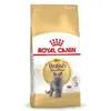 Nourriture pour British Shorthair - 1 x 10 kg (3182550756464) - Royal Canin