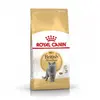 2kg British Shorthair Royal Canin pour chat
