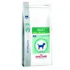Royal Canin® Neutered Adult Dental Digest Chien de petite race