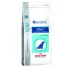 Royal Canin Veterinary Diet Canine Neutered Adult Large Dogs | 12 kg