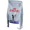 Royal Canin Expert Dental pour chat - 3 kg
