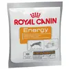 Royal Canin - Energy Chien 1 x 50 g (3182550784641)