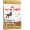 Royal Canin Labrador Retriever Sterilised Adult - Croquettes pour chien