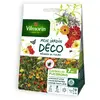 VILMORIN Sachet graines Mélange de fleurs - Eloigne les Pucerons 7m2