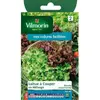 VILMORIN Mélange graines de Laitue à couper BOWL VERTE ET ROUGE