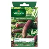 Radis Violet de Gournay - Légumes d'Autrefois | Vilmorin Jardin