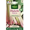 VILMORIN Rhubarbe Victoria