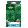 Graines de persil variété "Alto" Vilmorin semis de février à septembre