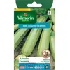 VILMORIN Courgette Adrielle HF1 Création Vilmorin