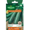 VILMORIN Sachet graines de Courgette BELOR