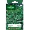 VILMORIN Roquette sauvage