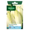 VILMORIN Chicorée Witloof Endive de Bruxelles