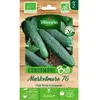 Concombre Marketmore 76 bio Vilmorin
