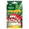 VILMORIN Radis Kocto