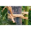 Vilmorin Pelote raphia / raffia naturelle 150gr