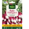 VILMORIN Radis flamboyant 5 format éco