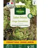 Laitue Batavia Rouge Grenobloise - Grand Modèle