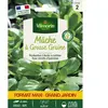 VILMORIN Mâche à grosse graine format eco