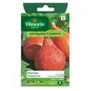 Graines de potiron variété "Potimarron" Vilmorin semis d'avril à mai