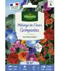 VILMORIN Mélange de fleurs - Fleurs Grimpantes - 10 M²