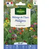 Vilmorin - Mélange de fleurs - Mélange Mellifère - 10 M²