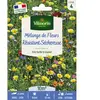 VILMORIN Mélange de fleurs - Mélange Résistant Sécheresse - 10 M²