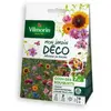 Vilmorin Vilmorin 5858007 Pack de Graines Mélange de Fleurs Coin des Bouquets 7 m