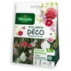 VILMORIN Mélange graines de fleurs COIN DE SENTEURS - 7 m²