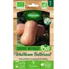 Vilmorin - Courge Musquée Waltham Butternut - bio