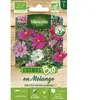 VILMORIN Sachet graines Cosmos en mélange BIO - Cosmos bipinnatus