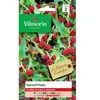 Vilmorin Epinard fraise