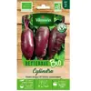 Betterave cylindra bio Vilmorin