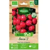 Graines de radis variété "Saxa 2" Vilmorin semis de mars à septembre