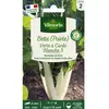 Bette poiree verte a carde blanche Vilmorin