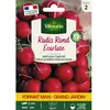 VILMORIN Radis rond écarlate
