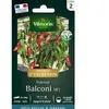 Vilmorin 3823842 Poivron Rouge 9 x 0,5 x 16 cm