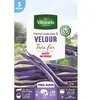 VILMORIN Graines de haricot velour gousse violette - 5 M