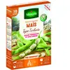 Graines de haricot soissons maïs type tarbais - VILMORIN - 10 M