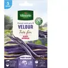 VILMORIN Graines de haricot velour gousse violette - 20 M