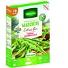 VILMORIN Haricot mascotte 10m