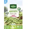 VILMORIN Graines de haricot mascotte - 5 M