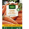Carotte Colmar a coeur rouge 2 Vilmorin