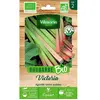 VILMORIN Graines de rhubarbe victoria - Bio